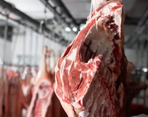 Peran Cold Storage dalam Menjaga Keamanan Pangan di Indonesia daging sapi freezer